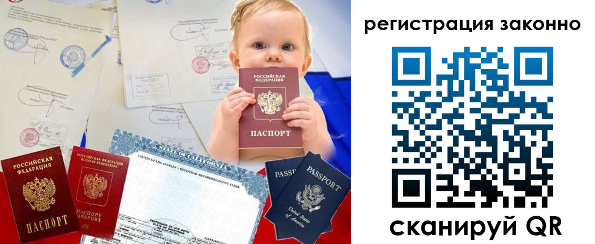 прописка для школы в Новгородской области
